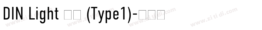 DIN Light 亮体 (Type1)字体转换